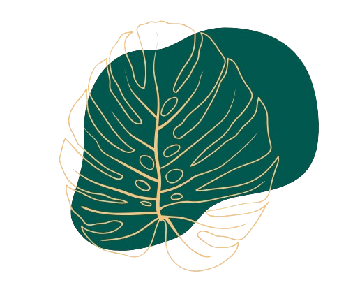 Element graficzny liść monstery – motyw natury i harmonii
