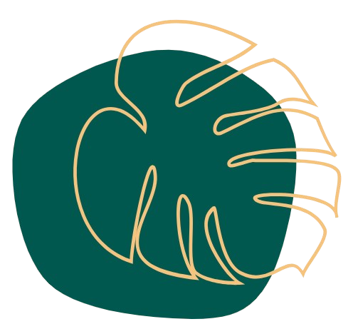 Element graficzny liść monstery – motyw natury i harmonii